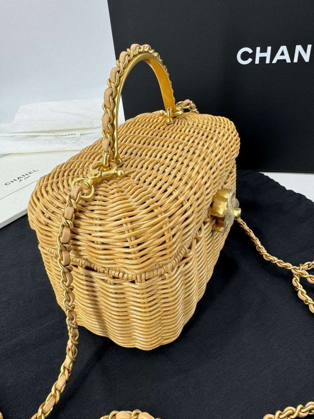 Chanel Cruise 2025/26 Vanity Case