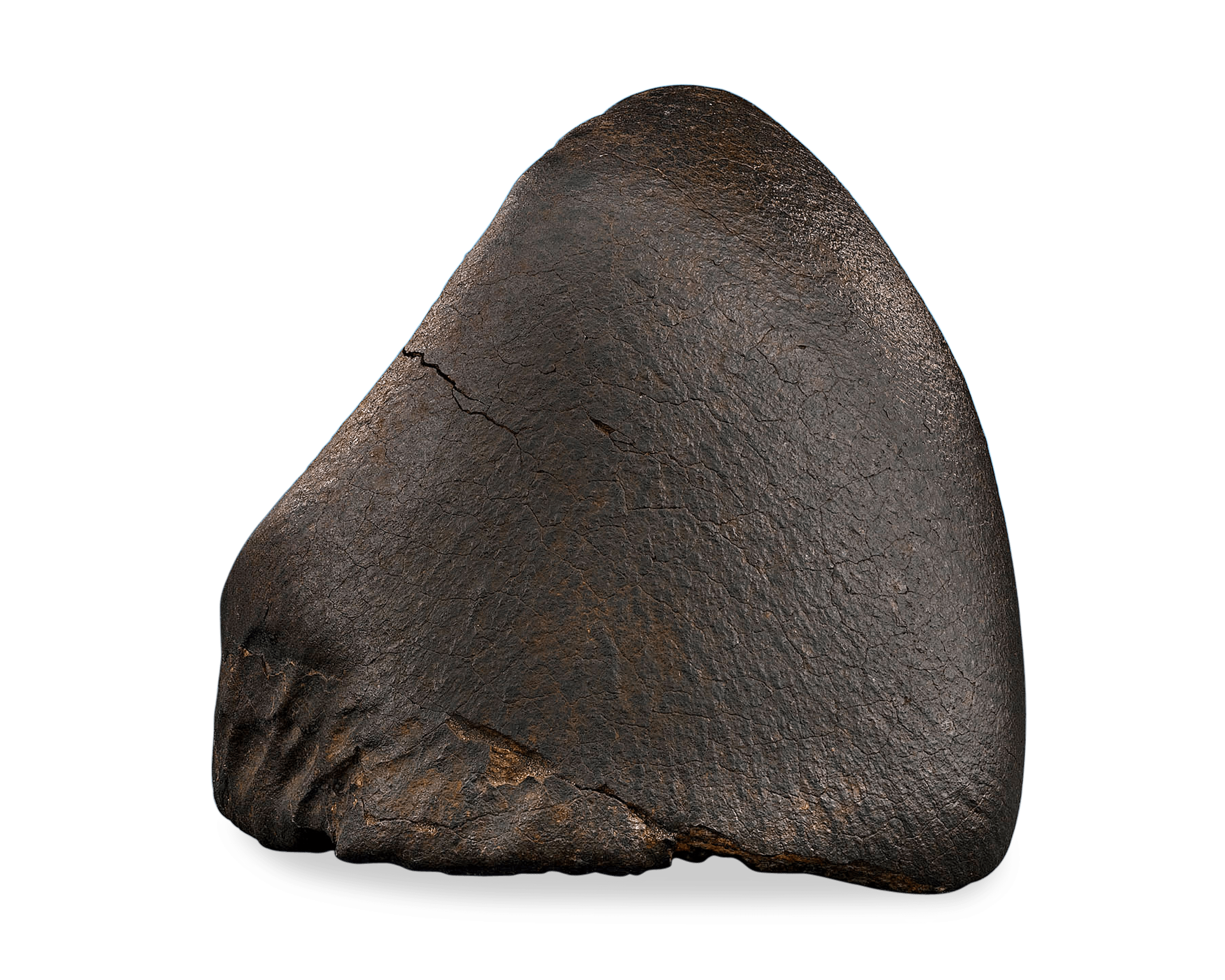 Oriented Nose Cone Chondrite Meteorite