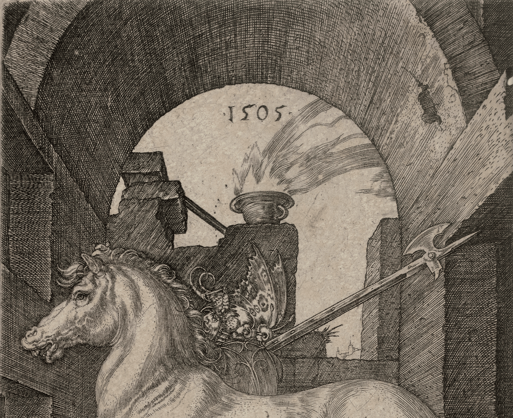 The Small Horse by Albrecht Dürer