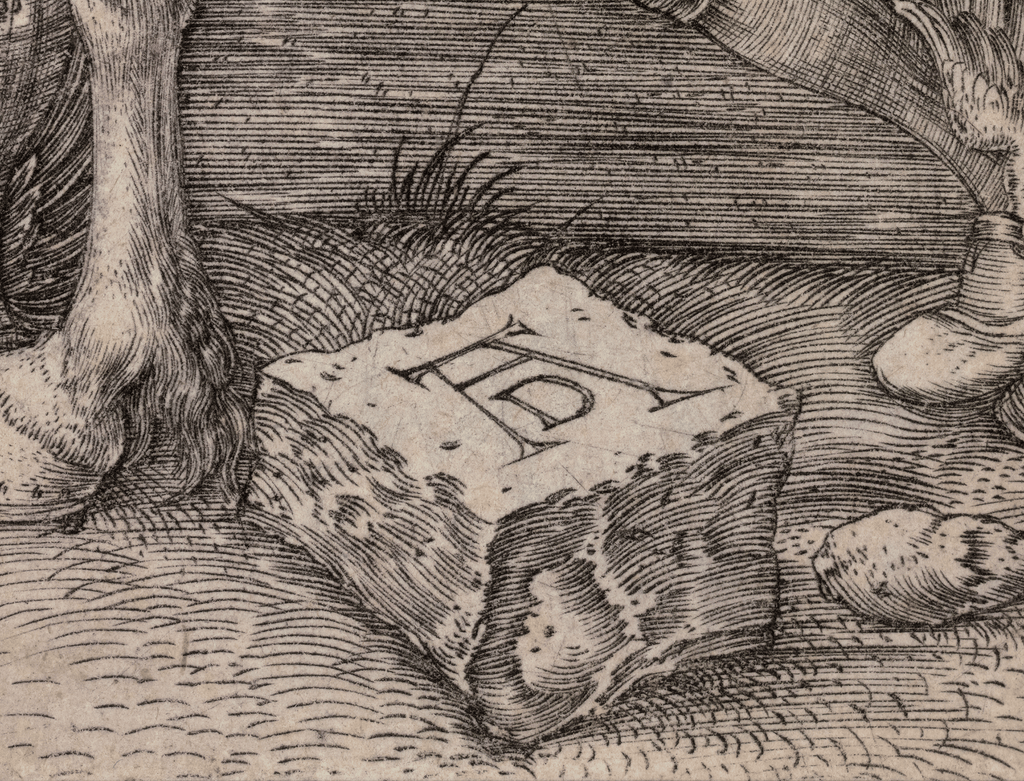 The Small Horse by Albrecht Dürer