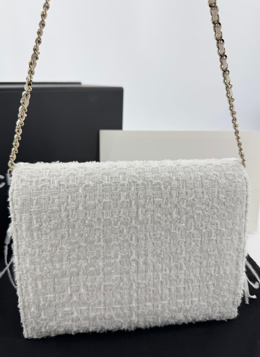 Chanel 25S Embroidered Tweed, Feathers, Imitation Pearls & Gold-Tone Metal Clutch in White