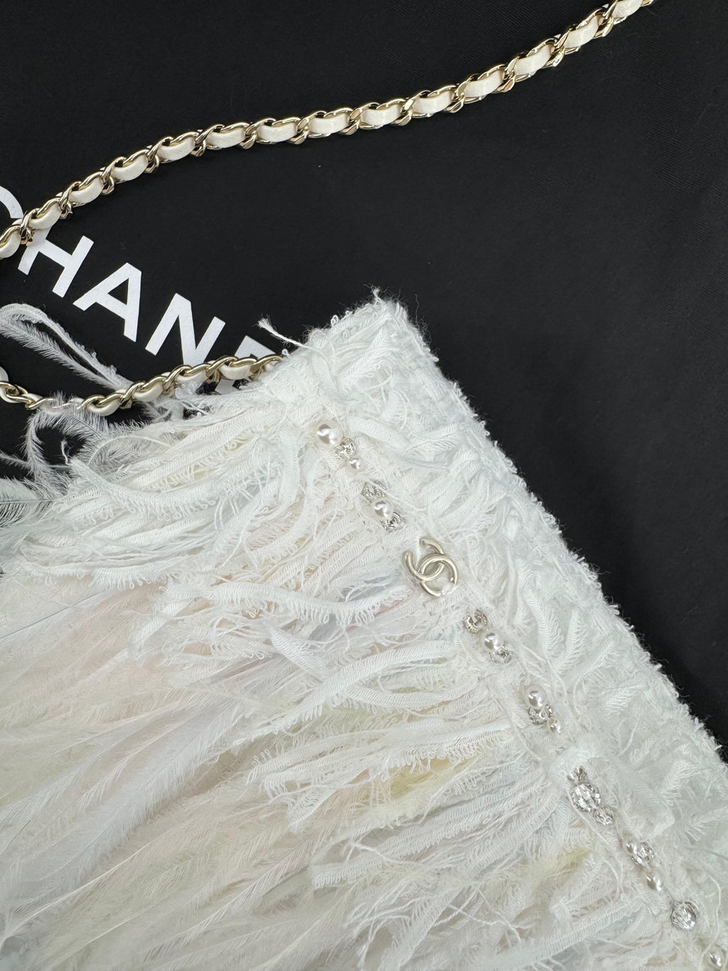 Chanel 25S Embroidered Tweed, Feathers, Imitation Pearls & Gold-Tone Metal Clutch in White