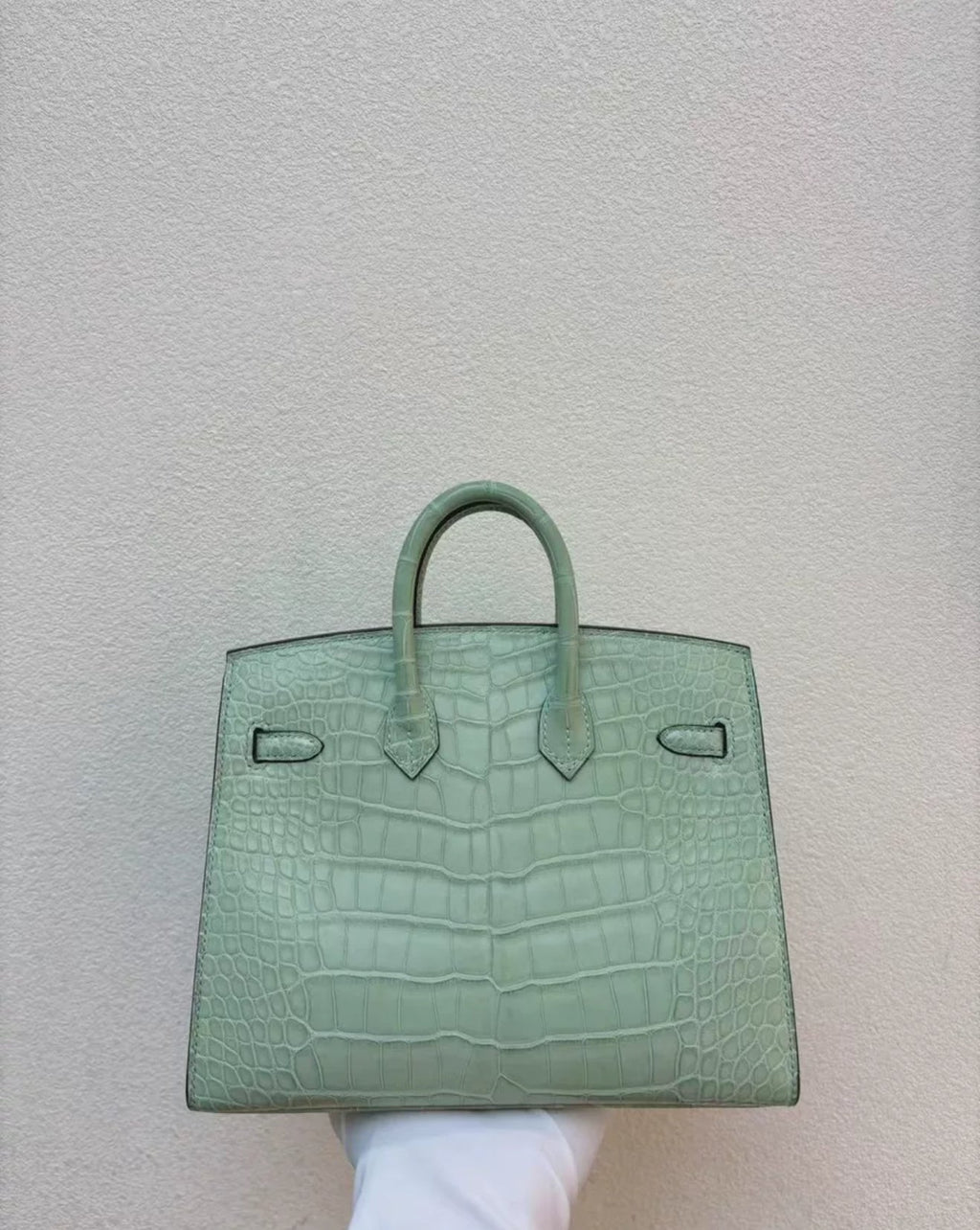 Hermès Birkin 20 Vert d'Eau Matt Alligator Gold Hardware
