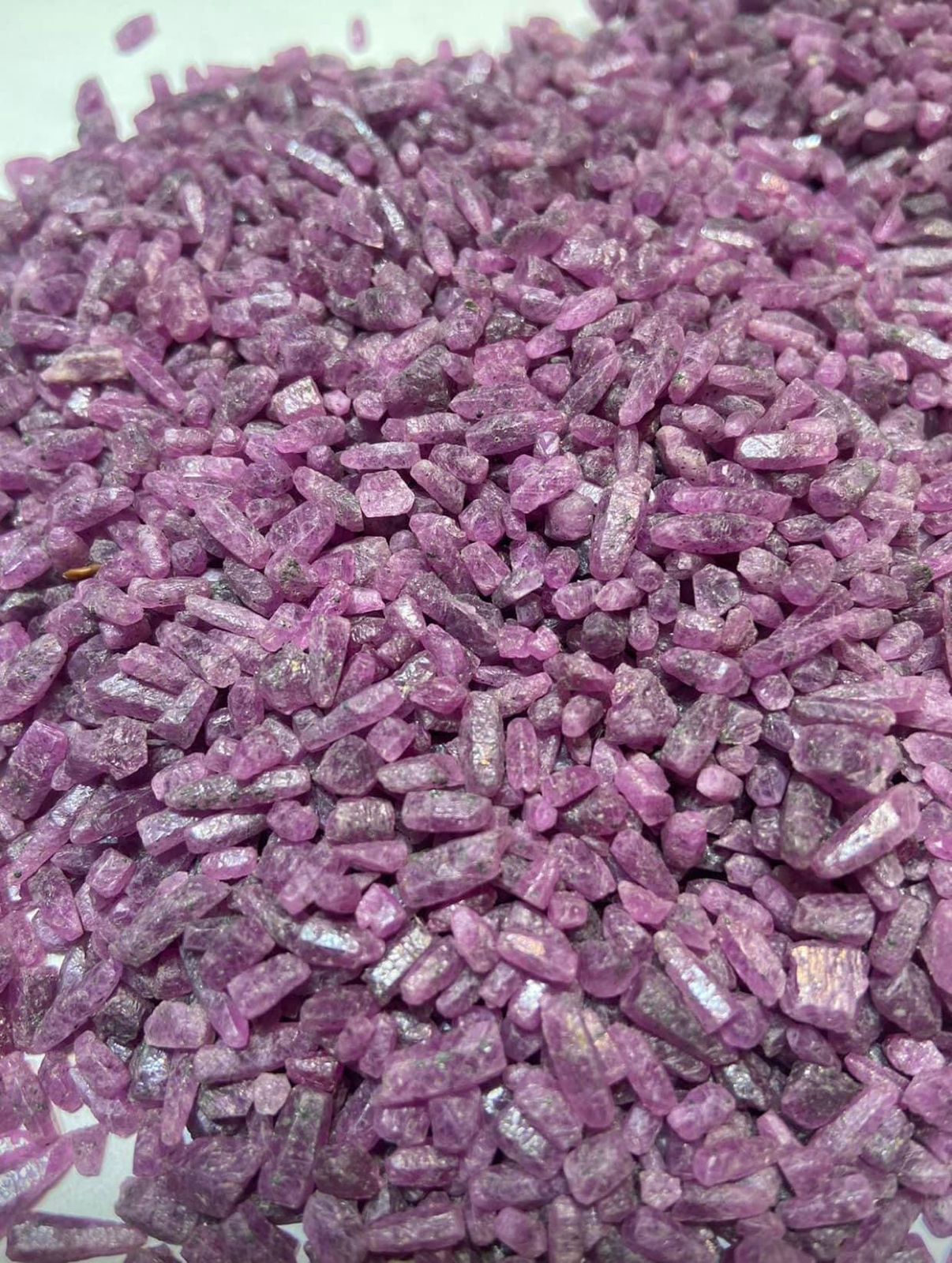 Wholesale Rough Rubies For Lapidary Artists